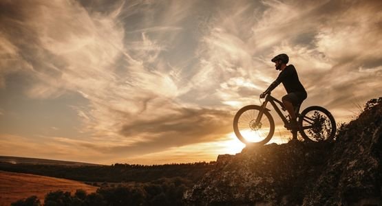 bike at forest